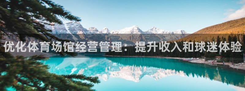 尊龙app注册官网：优化体育场馆经营管理：提升收入和球迷体验