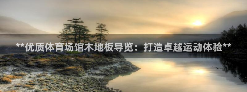 尊龙凯时ag旗舰厅登陆：**优质体育场馆木地板导览：打造卓越