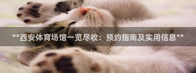 ag旗舰平台尊龙代言：**西安体育场馆一览尽收：预约指南及实