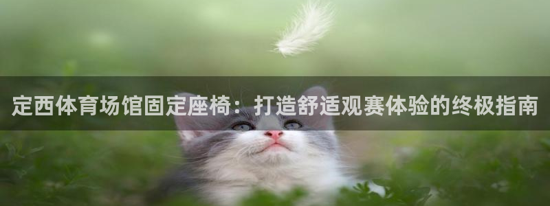 尊龙t600怎么样：定西体育场馆固定座椅：打造舒适观赛体验的