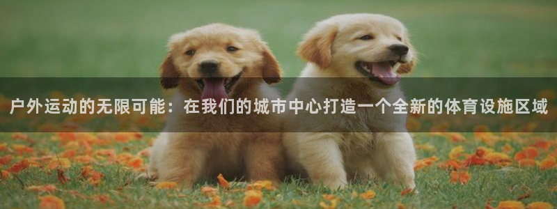 尊龙凯时平台有没有不到账的