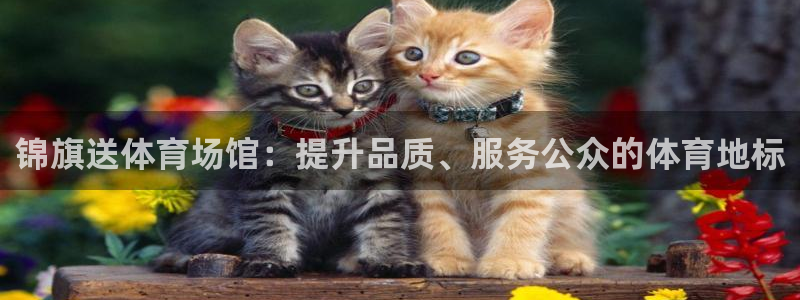 尊龙凯时官网正规吗