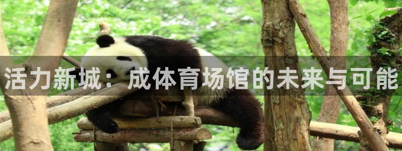 凯时国际app首页下载